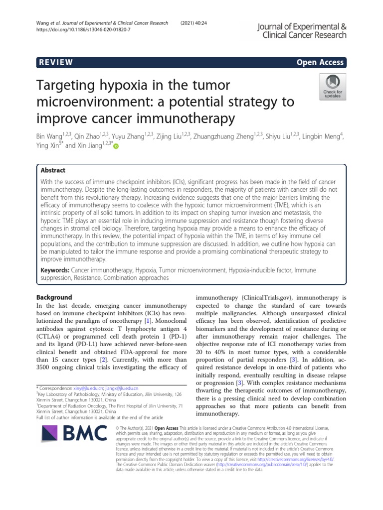 Targeting Hypoxia in The Tumor Microenvironment A | PDF | Dendritic ...