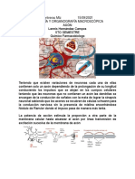 Estructura y función del axón neuronal