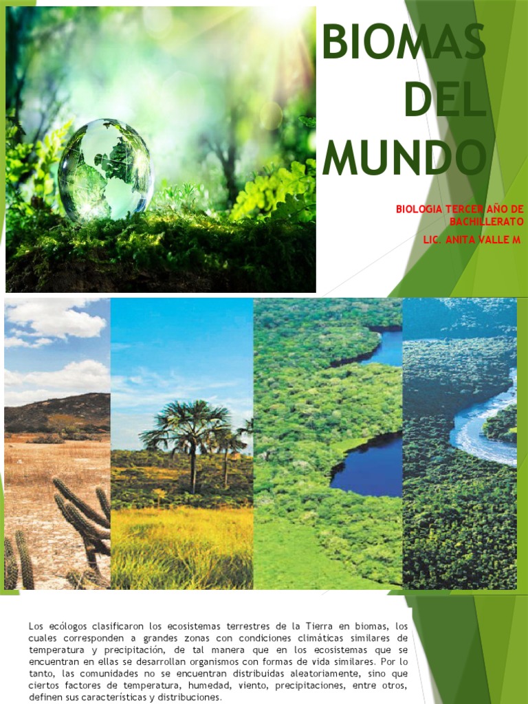 Biomas Del Mundo | PDF | Selva | Geografía Física