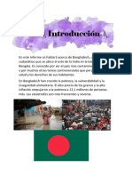 Bangladesh (Problemas Del Pais