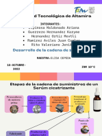 Desarrollo de La Cadena de Suministros