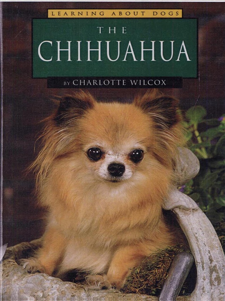 The Chihuahua Pdf