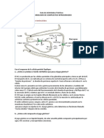 Guía de Actividades Prácticas Cptos Nitrogenados