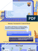 Control y evaluación presupuestaria Definición, sistema Nacional de control fiscal.