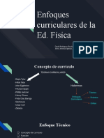 Enfoques Curriculares de La Ed. Física