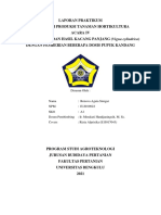 Laporan Praktikum TPTH - Kacang Panjang - Renova Agata Siregar (E1j019022)