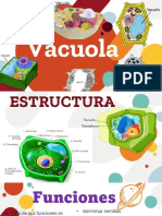 Presentacion Ovacuola 
