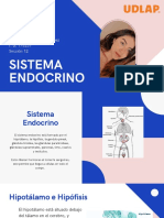 ID. 175237 Casandra Lobato Domínguez - Sistema Endocrino