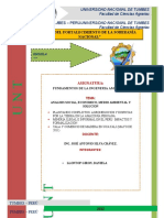 Analisis Plantando Conflictos Agronegocios y Disputas Por La Tierra en La Amazonía Peruana, Mineria Ilegal e Informal en El Peru Tala y Comercio