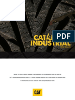 Catalogo Cat