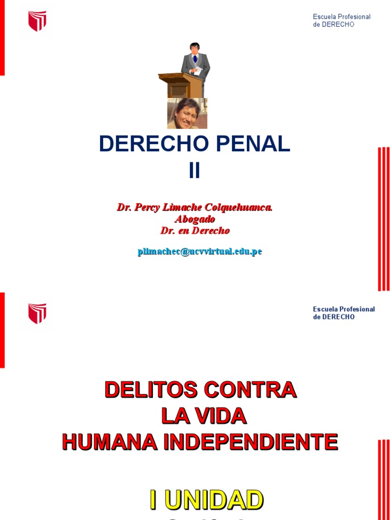 3-tipos-de-homicidio-atenuado-pdf-homicidio-asesinato