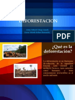 Deforestacion Exposicion