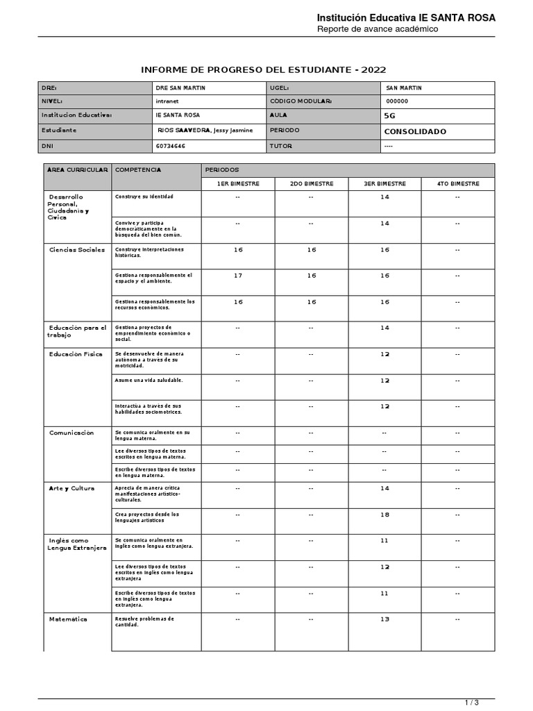 Informe Académico 2022 IE Santa Rosa | PDF | Science