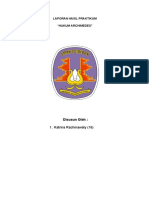 Laporan Hasil Praktikum Fisika