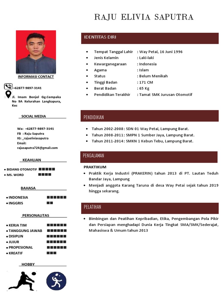 CV Raju Elivia Saputra | PDF