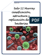 Resumen Capítulo 12 Murray Clasificación, Estructura y Replicación de Las Bacterias
