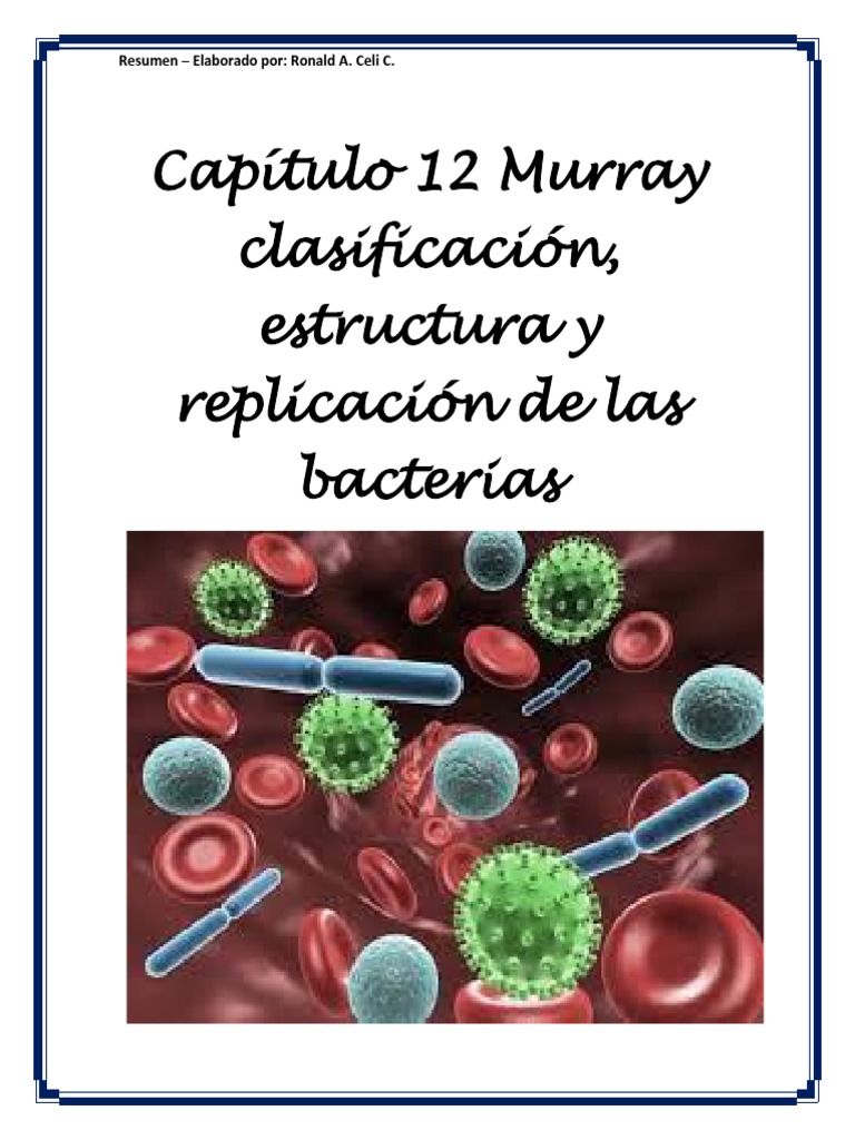 Clasificación y Estructura de Bacterias | PDF | Las bacterias ...