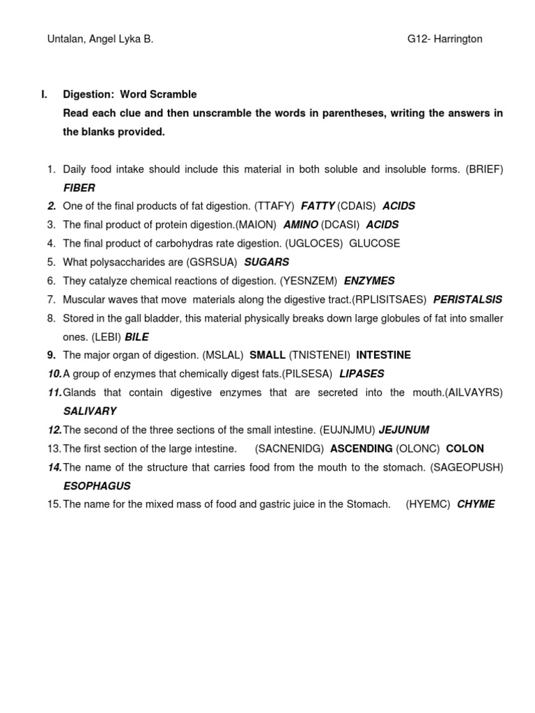 Digestion Worksheet HARRNGTON GRP A PDF Human Digestive System