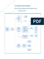 Ruta de Atencion Feminicidos