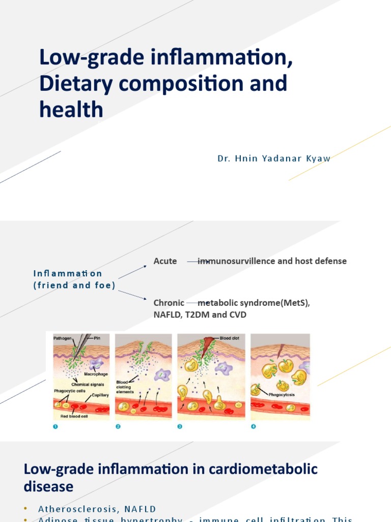 LowGrade Inflammation, Dietary Composition and Health PDF Medicine