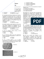 Ciencias Sociales 6° Parcial Segundo Periodo