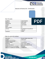 Informe Final de Practicas - Carpio Almeida Peter David