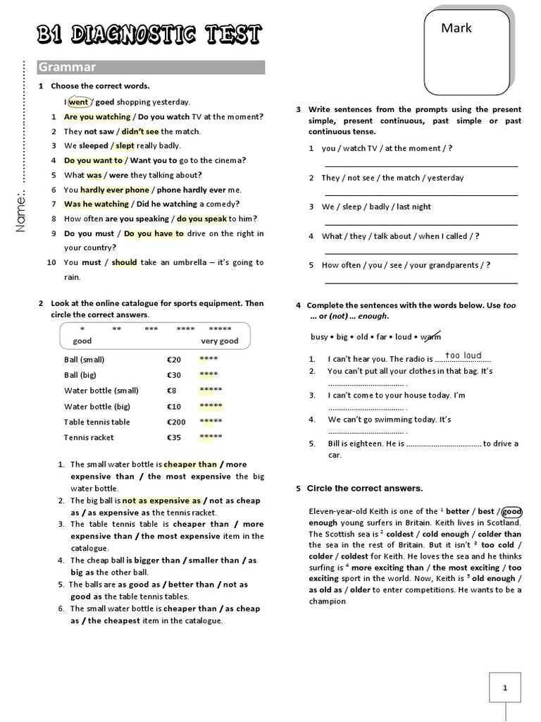 B1 Test Pdf Internet