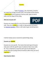 Enzymes For Students