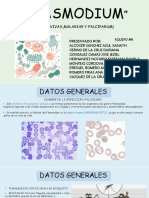 Plasmodium (Ovale, Malarie, Vivax, Facilparum)