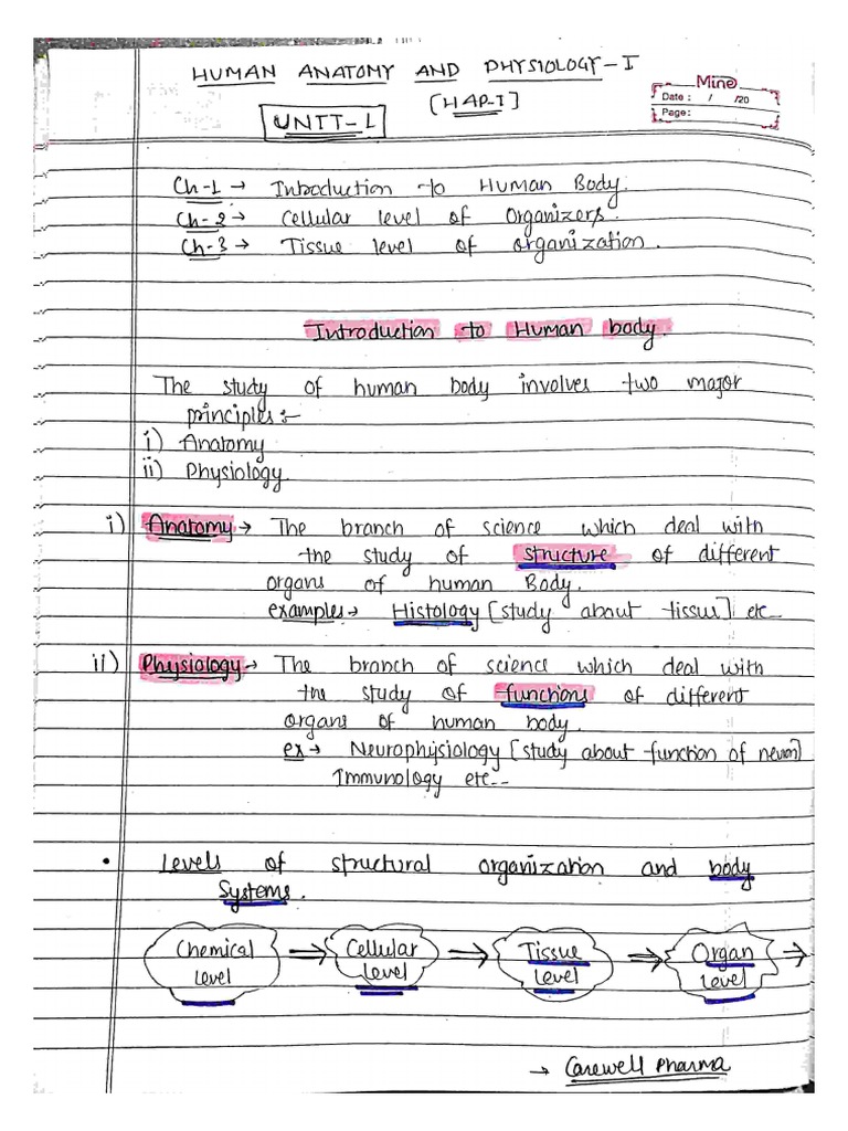 Human Anatomy and Physiology Biology Diagrams