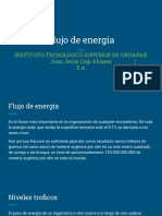 Flujo de Energía