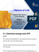 Presentation-The Nature of Life-Stage 2