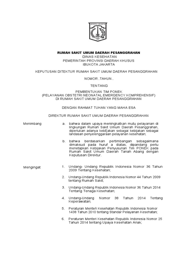 SK Tentang Pembentukan Tim PONEK | PDF