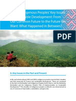 Asia Indigenous Peoples’ Key Issues in Sustainable Development