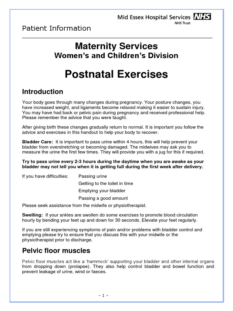 Meht130379 Postnatal Exercises 2 0 Pdf Abdomen Pelvis