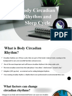 Circadian Rhythms and Sleep Cycles Explained