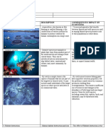 Finals Assessment 1 Human Impacts On The Ocean