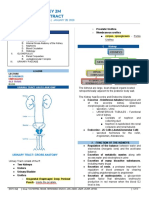 1A HISTO 2M Urinary Tract