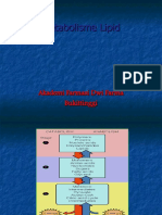 METABOLISME LIPID