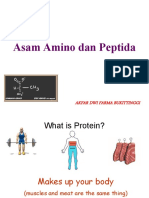 As Amino & Peptida 013