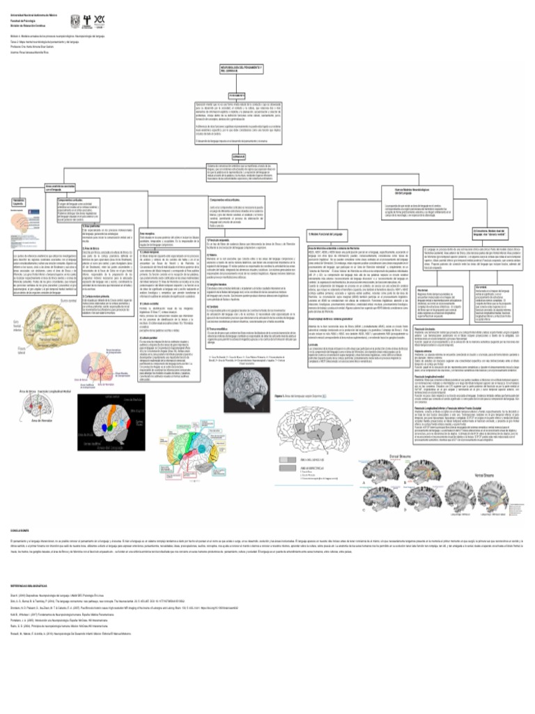 Tarea 11. Mapa Mental Neurobiología Del Pensamiento y Del Lenguaje ...