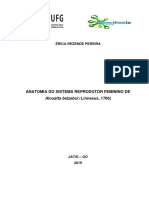 Anatomia Do Sistema Reprodutor Feminino de Alouatta Belzebul