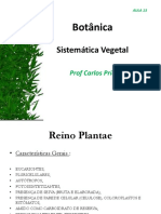 Sistemática Vegetal: Reino Plantae e os principais grupos de plantas