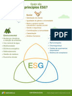Infografico Principios ESG