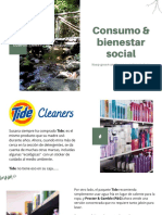 Tema 3 - Consumo Bienestar Social