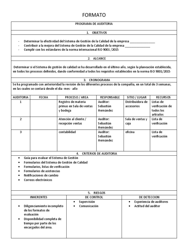 Formato de Programa de Auditoría ISO 9001 | PDF | Auditoría | Sistema ...