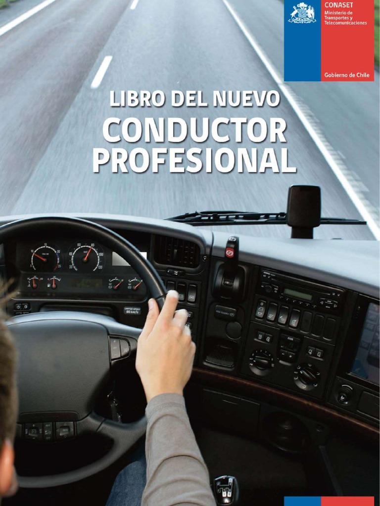 Libro Del Nuevo Conductor Profesional 2022 PDF Calle Peatonal