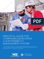 B en Practical Guide Sustainability Management