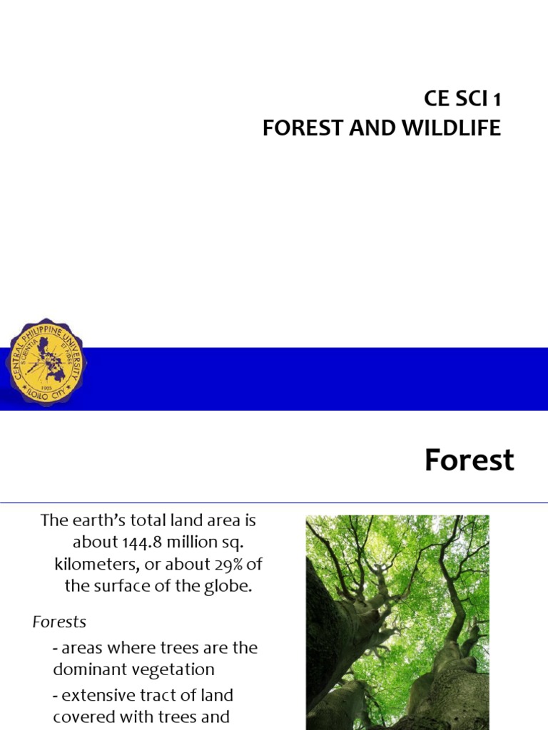 Forest Types and Wildlife Conservation | PDF | Forests | Deforestation