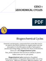 8 Biogeochemical Cycle